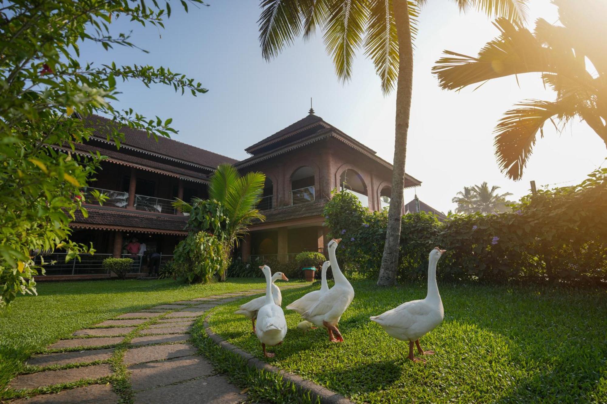 Lakesong Resort Kumarakom Bagian luar foto