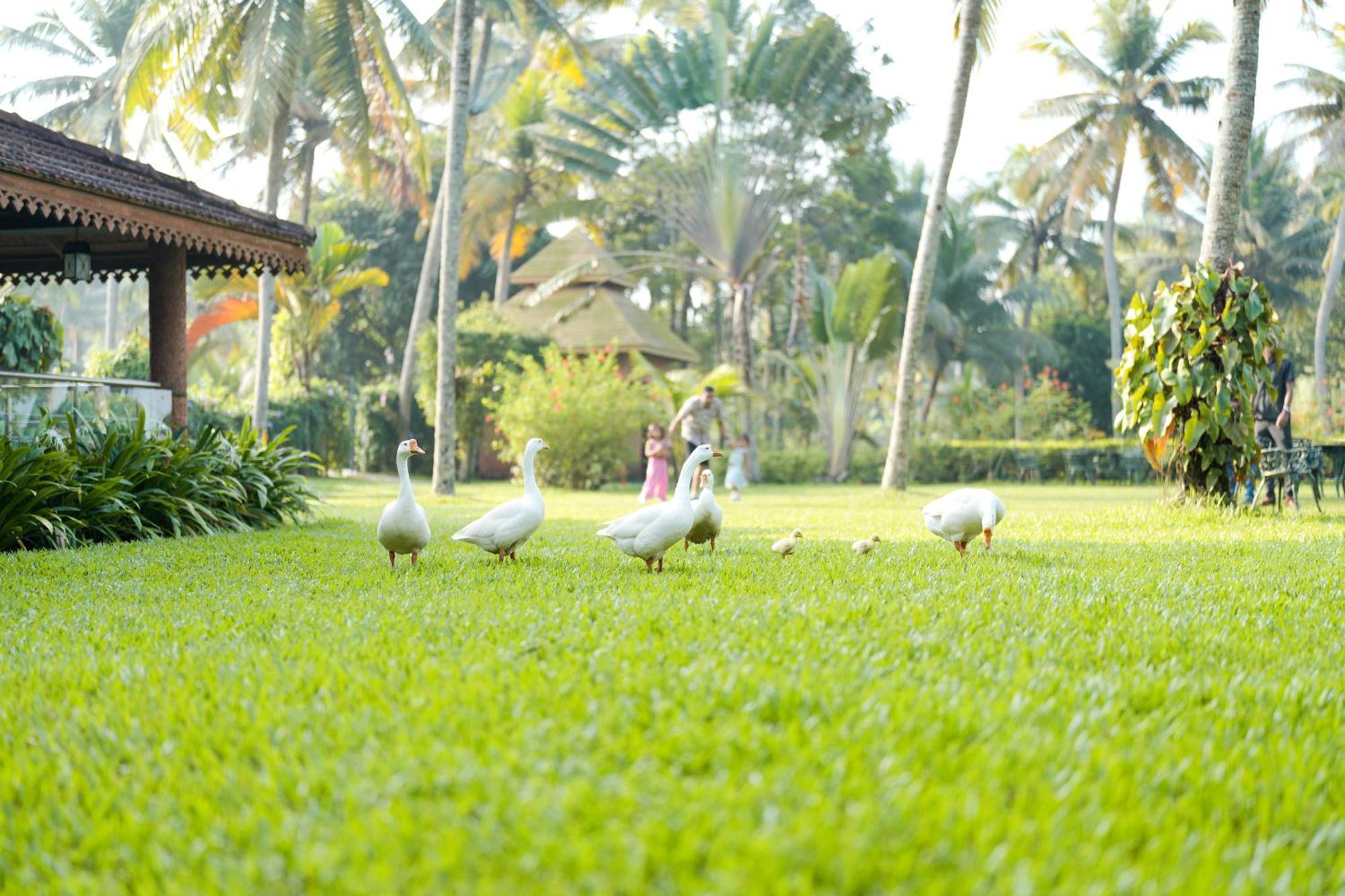 Lakesong Resort Kumarakom Bagian luar foto